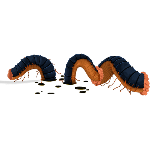 Decimillipede
